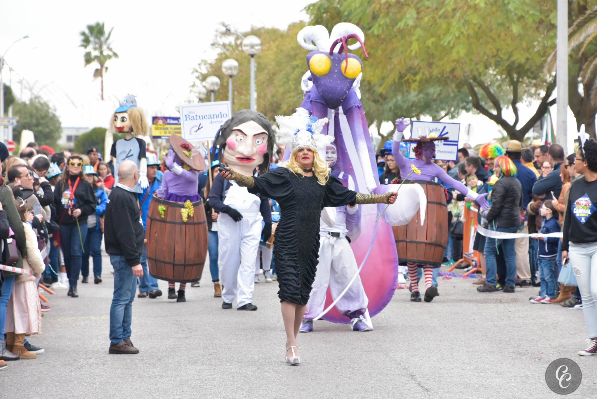 carnaval do montijo